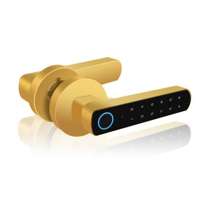 中国 Small Size Commercial Biometric Digi 255 Fingerprint Door Lock Lock Set 販売のため