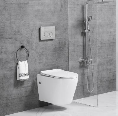 China High Quality Concealed Cistern Standard Wall Hung WC Toilet Cistern Modern Design Sanitary Ware Hidden Rimless Flush for sale