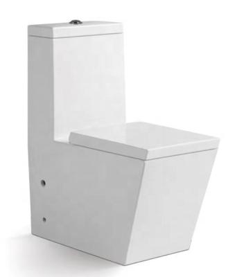 Κίνα Double-Flux One-Piece Toilet Bowl Square Shape New Modern Design SASO Washdown Products W.C. Back To Wall Sanitary Ware προς πώληση