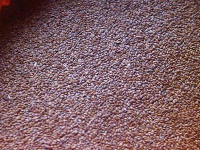 China supplying China kiwi seed for baking bread kiwi nuts and kiwi seeds kiwifruit seeds for sale