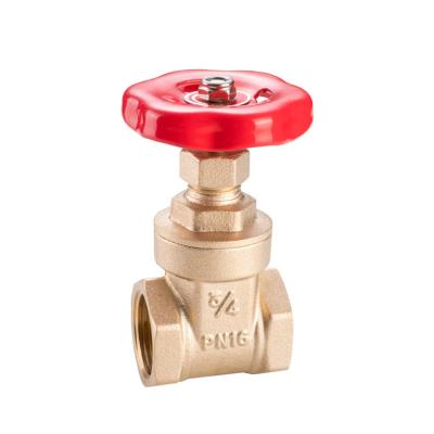 China General factory wholesale high quality brass wire forged gate valve DN15-DN50 PN16 for sale