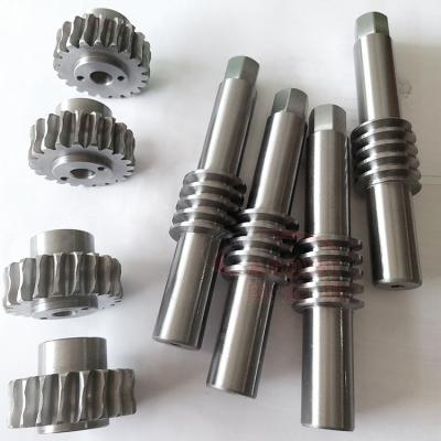 China Hotels Customized Worm Gear Assemblies And Gear Shaft for sale