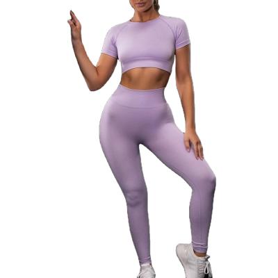 China Style Antibacterial Warm Seamless Plus Size Pants Fitness Exercise Yoga Short Sleeve Sets for sale