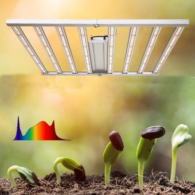 China Seed Starting Indoor Cold White Light 6500k lm301b Grow Full Spectrum Plant Grow Light Bar for sale