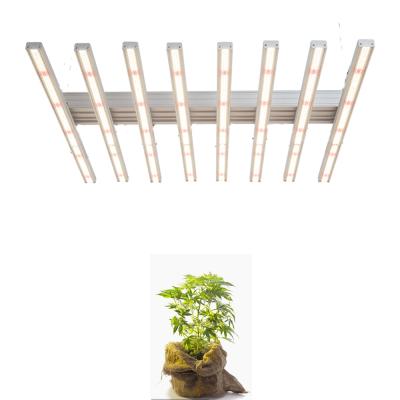 China Seed Seed Growing Plant 800w Indoor Grow Full Spectrum 8 Bar Indoor Led Plant For Growing Light for sale