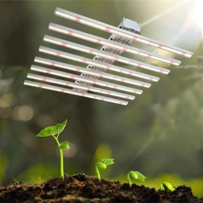 China Seed Seed Growing Greenhouse 2021 New 800w Indoor Plant Grow Full Spectrum Grow Tent Kits T5 Led Grow Light for sale