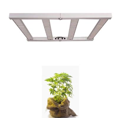 China Seed Planting Full Spectrum Indoor Plant Grow 5000k To Grow Light UV Light For Plant To Grow Light Kit 600w for sale