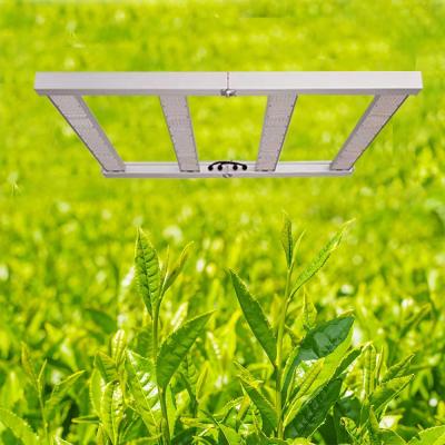 China Seed Starting Full Spectrum 1000w Indoor Plant Growing Led Spider Double Switch Greenhouse Hydroponic Grow Led Light for sale