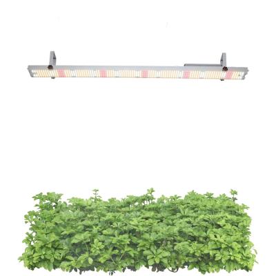 China Seed Starting China 600nm Factory Indoor Professional Controller Full Spectrum Led For Growing Light for sale