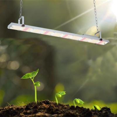 China Seed Seed Growing 2020 Best 1000w lm301b Indoor Plant Grow Light Adjustable Full Spectrum Led Grow Light for sale