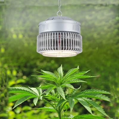 China Seed starting 2021 advanced sambead lm301h lm301b full spectrum 100w 120w led grow light for sale