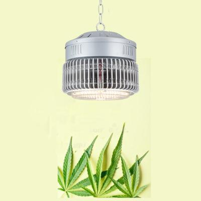 China Seed Plant Growing Dimmable Indoor Plant Growing Light 120w 240w 480w IR Panel lm301b Full UV Spectrum 240w Led Plant Grow Light for sale