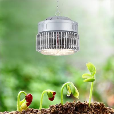 China Seed seeding lm301h high ppfd greenhouse plant grow indoor full spectrum fixture white grow light led chip for sale