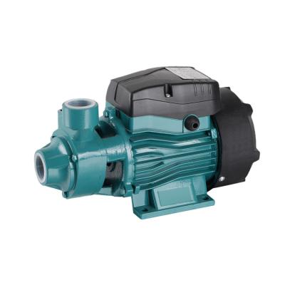 China Vortex Booster Pump Manufacturers Specializing In Processing Hose Small Household Automatic Vortex Pump 40.5x29.5x35.5cm for sale