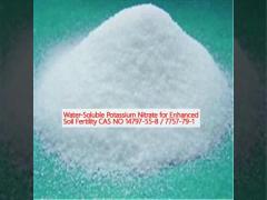 Water-Soluble Potassium Nitrate for Enhanced Soil Fertility CAS NO 14797-55-8 / 7757-79-1