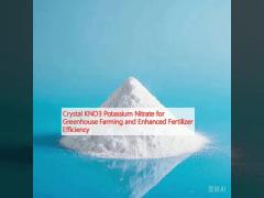 Crystal KNO3 Potassium Nitrate for Greenhouse Farming and Enhanced Fertilizer Efficiency