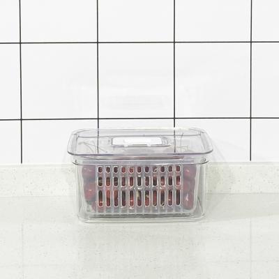 China Food Packaging Fresh Vegetable Fruit Storage Containers Keep Food Fresh Easy To Clean for sale