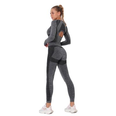 China Breathable Long Sleeve Gym Sets Top Clothing Women Fitness Seamless Workout Hollow Back Yoga Sets 2021 for sale