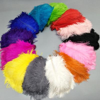 China Eco-friendly Dyeable Natural Ostrich Feather Mulity Color Feather 20-25CM For Dress for sale