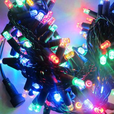 China Indoor Multi-Color Holiday decorative light, twinkling Chritsmas light with controller for sale