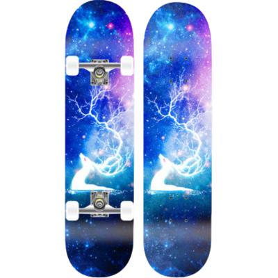 China Best Selling Youth Pro Skateboard / Maple Complete Skateboard For Men for sale