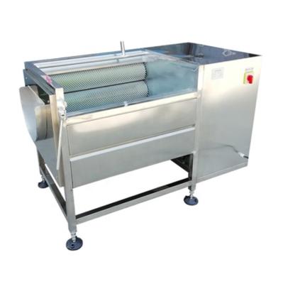 China High Efficiency Easy Operate High Capacity Automatic Fruit Vegetable Skin Peeler Ginger Bubble Washing Machine for sale