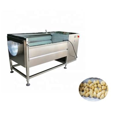 China High efficiency easy operate electric potato cleaning machine papaya peeling machine taro washing machine for sale