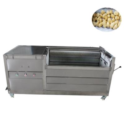 China High Efficiency Easy Operate Factory Price Turnip Machine Brush Roller Cleaning Machine Beets Washing Machine for sale