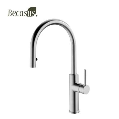 China Modern New Style Sink Drinking Water Polished Stainless Steel Single Handle Kitchen Faucet for sale