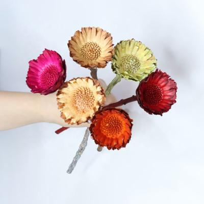 China Hot Selling Natural Touch Flower Import Sun Dry Chrysanthemum For Wedding Decoration Opens Gift Festival Use for sale