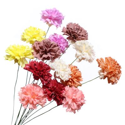 China Natural dry flowers Sola Wood Flower Hot Models wedding party home style shop decoration 2021 new to wedding decoration for sale