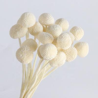 China Wholesale Exquisite and Beautiful Preserved Dry Eternal Golden Flower Ball for Friend Gifts for sale