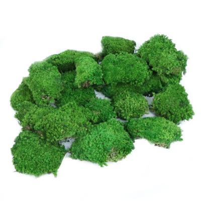 China Green Environmental Protection Statistical Institute Style Preserved Moss Beautiful Moss Wholesale And Soft Massive Bulk Wedding Decoration Flower Wall Event for sale