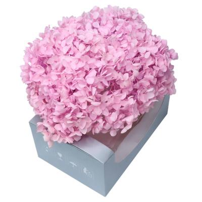 China Real Factory Directly Forever Anna Hydrangea In Box For Lasting Flower High Quality All Kinds Festival Decoration White Hydrangea for sale