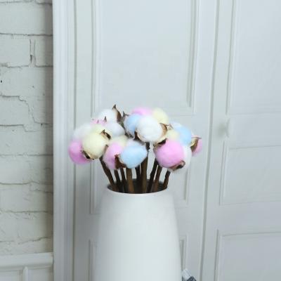 China Factory direct supply from Europe preserved real single main cotton flower material for flower arrangement home decor for sale