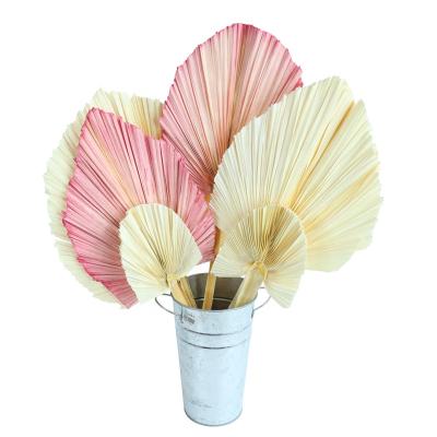 China Designs Factory Wholesalers Preserved Natural Fan Palm Leaves White Real Touch Flowers Table Floral Arrangements for sale