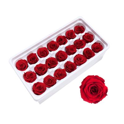 China Natural contact Yunnan Rose Head preserved stabilized everlasting 2-3cm good quality wholesale in gift box for festival decoration wedding gift for sale