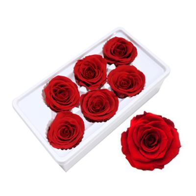 China Natural Touch Wholesale Colorful Beauty Preserved 5-6cm Decorative Red Roses Flowers and Braids Natural Touch Perfect Gift for sale