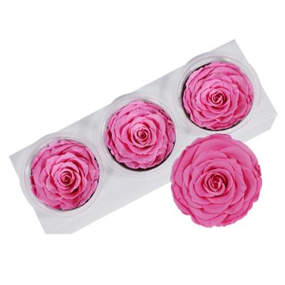 China Holiday& Decoration& Hot Sale Yunnan DIY Gift Preserved 7-8cm Rose Head in Box for Home Decoration Wedding Gift Graduation Gift for sale