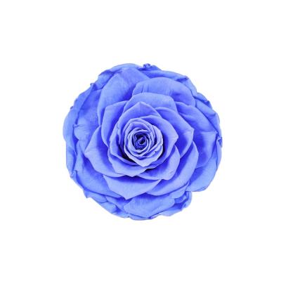 China Preserved Style Tall 9-10 cm Rose Real Fresh Romantic Beautiful Flowers 2021 Gifts New Preserved Rose Wholesale for sale