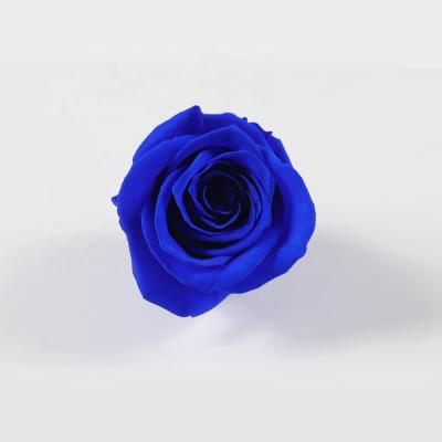 China Best Selling Time Rose Flowers Preserved Cut Flower Fresh Wedding Decoration Products Long 30-70CM for sale