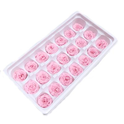 China Colored Austin Rose Head 2-3cm Colored Natural Eternal Preserved Pure Color Natural Touch For Wedding Decoration And Creative Gift For New Years for sale