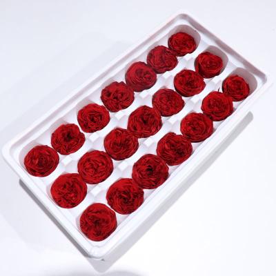 China Wedding Occasion Hotsale 21pcs pure color preserved Austin Rose Head 2-3cm in box for valentines day wedding gift for sale