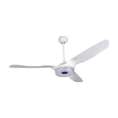 China Modern Simple Modern DC 24V Motor 60inch ABS Big Blades White Ceiling Fans With Light And Remote Control for sale