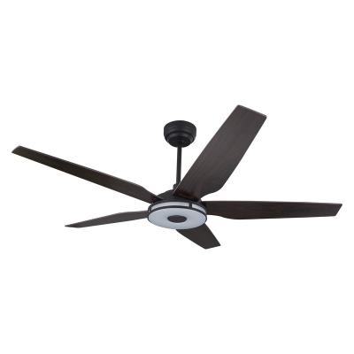 China Hotel CARRO explorer 52 inch new product ideas 2021 home appliance blades 52inch wood bldc ceiling fan for sale