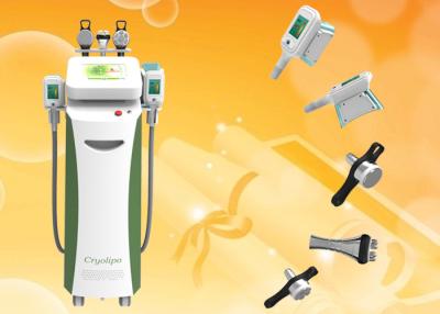 China RF Cavitation Cryolipolysis Slimming system nbw-c325 For weight loss criolipolisis/cavitation/Rf 3 in 1 technology for sale