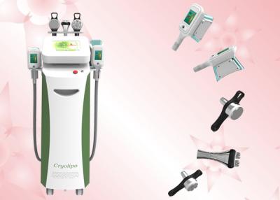 China 5 cryo handles Germany Copper Radiator RF cavitation Cryolipolysis slimming beauty machine For weight loss for sale