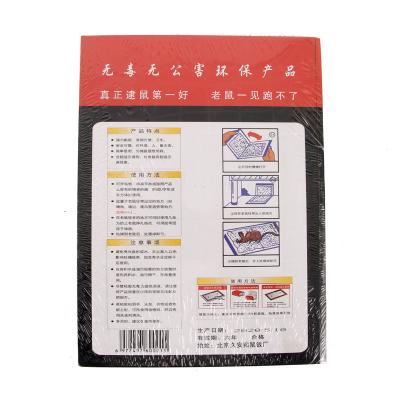 China Wholesale Viable Disposable Factory Mouse Rat Glue Traps 2 Pieces In One for sale