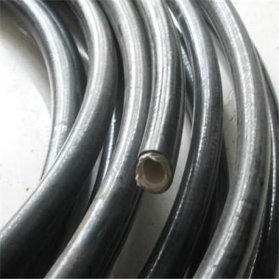 China Two Polyester Braids Thermoplastic Hose SAE 100R7-EN855 R7 Nylon hose for sale