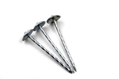 China Umbrella Head Roofing Nail for sale